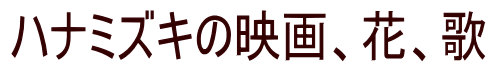 ハナミズキの映画や歌、花など